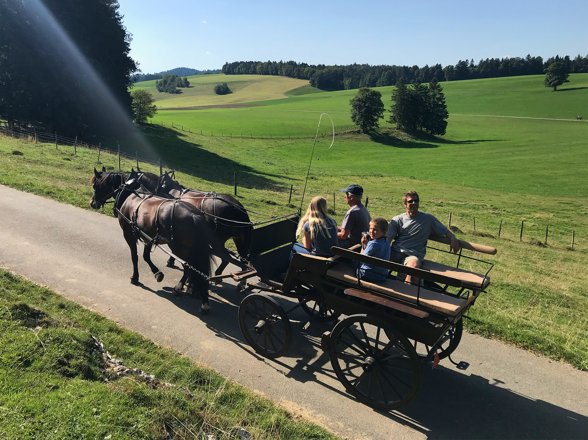 Balade en char attelés pour toute la famille