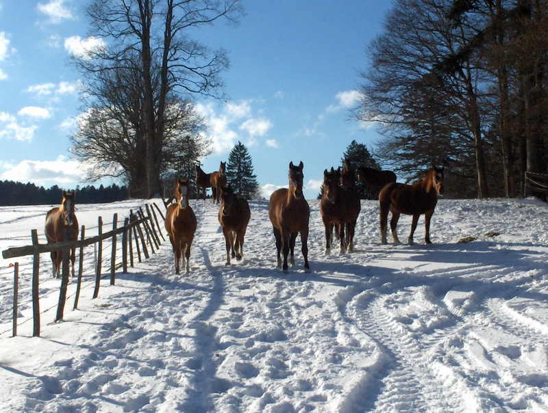 Le Cerneux-Belin en hiver